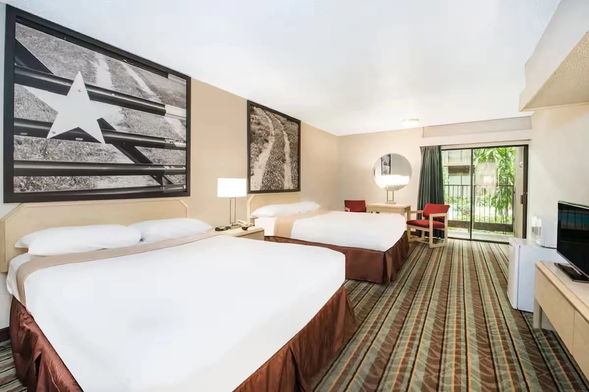 Basic Double Room